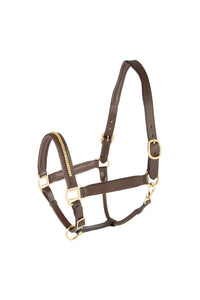 LEATHER HALTER WITH BRASS