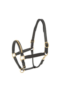 LEATHER HALTER WITH BRASS