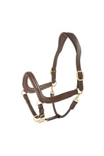 Load image into Gallery viewer, LEATHER ANATOMIC HALTER